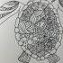 Cool Turtle Drawing Art Drawing Turtle Sketch Sea Shorts Cool Cooldesign