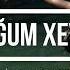 Sabina Askerova Qurdugum Xeyallar