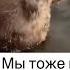 Оуу есс видео мем юмор смех