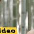 PSSI Pratama Arhan S Wife Azizah Salsha Cheating With Salim Naudrer Video