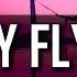 FREE West Coast G Funk Instrumental 2018 Stay Fly
