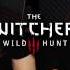 The Witcher 3 OST Hunt Or Be Hunted Presnyakov PARTyzant On Guitars Pencils Cajon