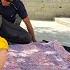 The Building Professor Made The Care And Affection Of The Children With All The