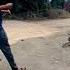 Jungli Suar Pakdne Ka Tarika Wild Pig Catch Technique Shorts Viral Krishi Tranding