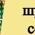 Как вернуть обратно шумным соседям их же шум