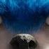 Sonic The Hedgehog Official Trailer 2019 James Marsden Ben Schwartz Jim Carrey