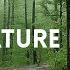 Relaxing Rainfall And Thunder Walking In The Rain ASMR Nature Sounds For Sleep And Study
