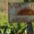 Abricots Tou Kareman