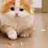 These Cats Are Too Cute And The Purr Fect Stress Relief Cat Catlovers Stressrelief