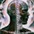 Tool Ænema Lyrics
