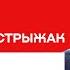Новый вброс о Мельниковой что происходит Про Вируса Петрухина и 5 лет работы демсил Стрижак