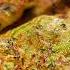 A MASTERPIECE Of Zucchini And Minced Chicken Cook MORE It S Very TASTY