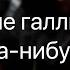 Смысловые галлюцинации Разум когда нибудь победит Cover