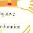 Mantoux Negative Shortvideo Trending Youtubeshorts Like Dmlt Viral Lab