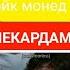 Зафар Аюби 2017