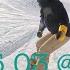 No Time To Talk Snowboarders Do Not Make A Stop On The Slope