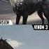 Venom Dog Vs Venom Horse Is Venom