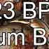 123 BPM Funk Drum Beat For Musical Practice