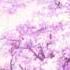 Good Days SZA Slowed Reverb 8d