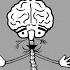 Trauma And The Nervous System A Polyvagal Perspective