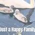 The Ugly Ducklings A Graceful Twist On The Tale Swans Cygnets TheDiaryOfADogWalker