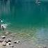 Ropeswing Død Deathdiving Cliffdiving Idaho
