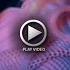 CAITLYN J Ai Compris Official Video