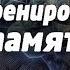 Ф Лёзер Тренировка памяти аудиокнига