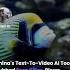 China S Text To Video AI Tool Dubbed Sora Killer Blows Everyone S Mind Shorts Business Startup