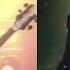 Угадай хиты зарубежного рока GUESS THE SONG ROCK METAL MUSIC QUIZ