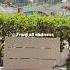 Traveltotravelworld Mavik Dubaimarina