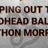 EP08 Mapping Out The Redhead Ball Python Morph