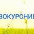 Первокурсница
