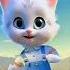 Cat Dance In Banse Cute Talkingtom Catlover Song Cutecat Music Bollywood Ytshorts