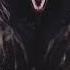 We Are Venom Venom Shorts Trending