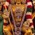 Muruga Viralvideo God Trending Murugan Muruga Lordmuruga Kanda Ommuruga Omnamahshivaya