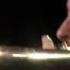 FLY OR DIE For Bass Trombone And Piano Gilles Rocha Soloist Lionel Fumeaux