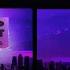 Out Now Switch Disco R3HAB Sam Feldt Sleep Tonight This Is The Life