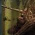 30 Coins 30 Monedas HBO Episode 5 The Double Recap Review