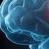 Gabe Newell S Brain Chip Will Change Science And Gaming
