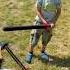 Sky Finn S Epic Medieval Quest
