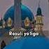 Shahid Bo Lib Ketsak Rozi Bolingiz
