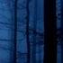 The Earth Is Groaning Unknown Sound Phenomena Occurring 2011