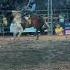 Horseback Riding In BRAZIL Cowboys Cowboy Cowbell Brazil Horse