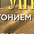 Толкование Евангелия с митрополитом Антонием Паканичем Воскресенье 25 мая 2025 года