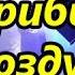 Грибы Воздух Концерт в Казани 26 02 2017