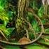 Rail Rush Game Ned Batbasher In Amazonia World