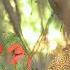 KINGDOM CONFLICT EP 25 FT MATILDA ASARE YAA BODOM EMMANUEL YEBOAH MORE