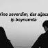 Seni Severdim