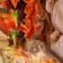Осенний Листопад Autumn Falling Leaves